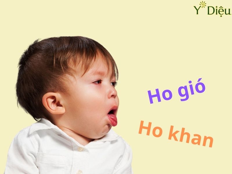 HO GIÓ, NGUYÊN NHÂN VÀ CÁC ĐIỀU TRỊ HO GIÓ HIỆU QUẢ NHẤT